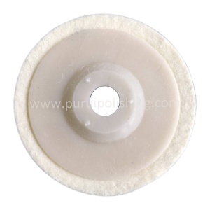 Felt Polishing Disc With Plastic Backing