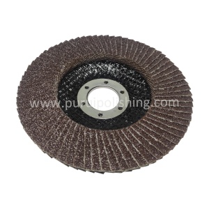 abrasive flap disc