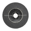 Silicon Carbide Flap Disc