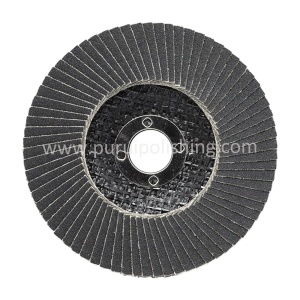 Silicon Carbide Flap Disc